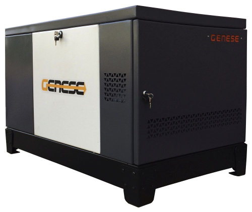 Газовый генератор Genese Pro 17000 T Neva в кожухе с АВР